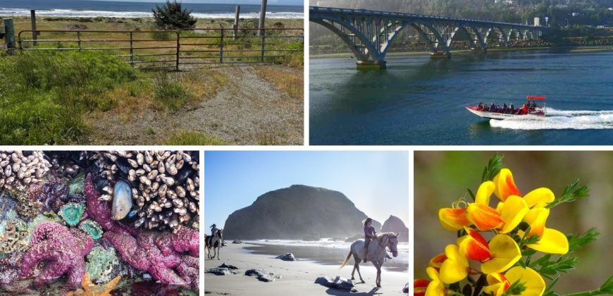 Oceanfront Development Land – Gold Beach